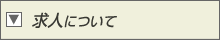 ���l�ɂ���