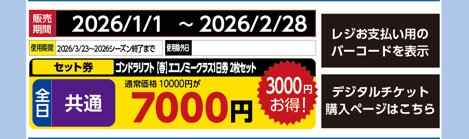 アライマウンテンリゾート　券種：全日 共通 ゴンドラリフト 【春】エコノミークラス1日券 2枚セット 　販売期間：2026/2/28まで　金額：7000円