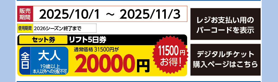 星野リゾート　ネコマ マウンテン　券種：［セット券］全日 大人 リフト5日券 　販売期間：45964まで　金額：20000円