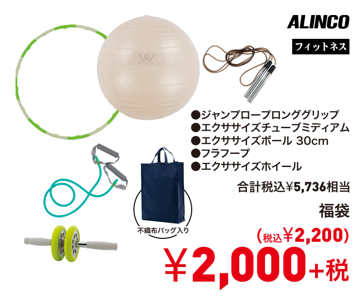 アルインコ 福袋 2,000円＋税