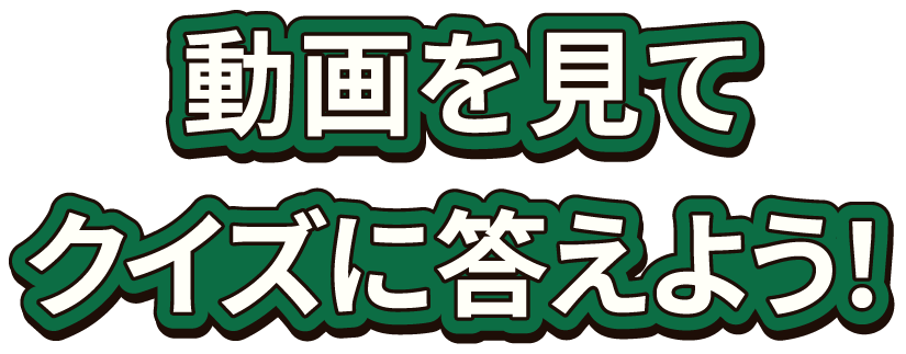 動画を見てクイズに答えよう！