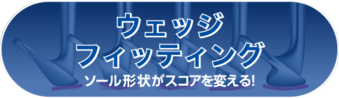 ウェッジフィッティング