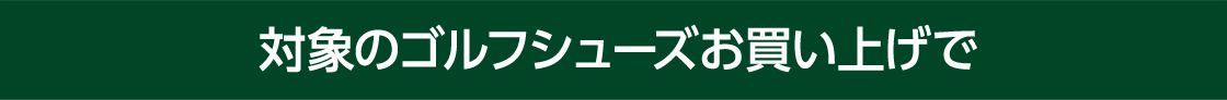 対象のゴルフシューズお買上げで