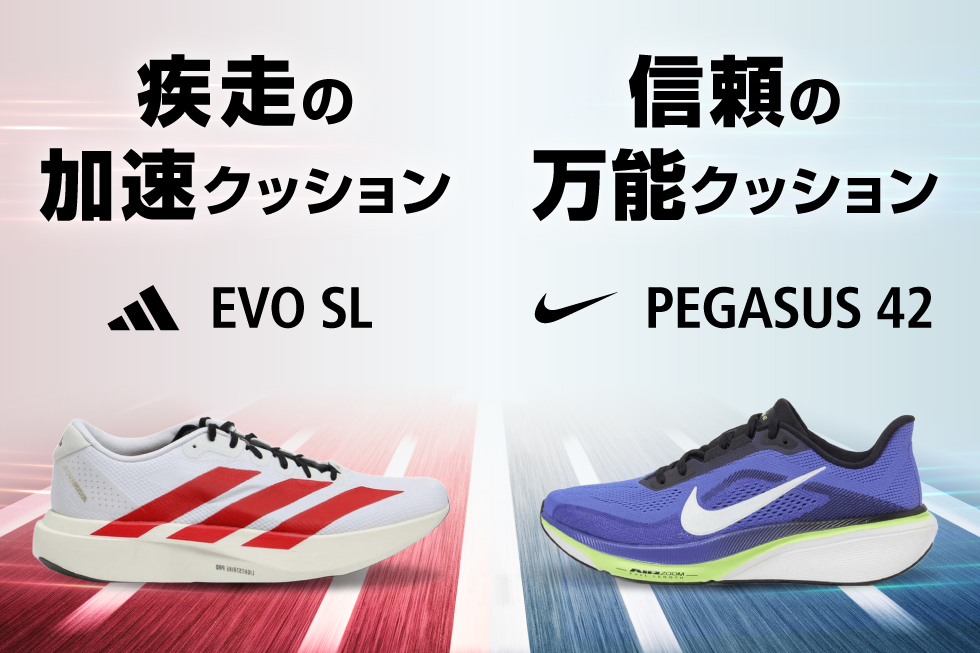 あなたはどちらのクッションを選ぶ？