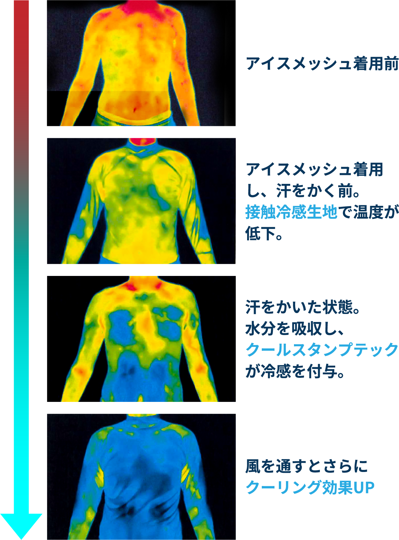 アイスメッシュ着用前後のサーモグラフィ