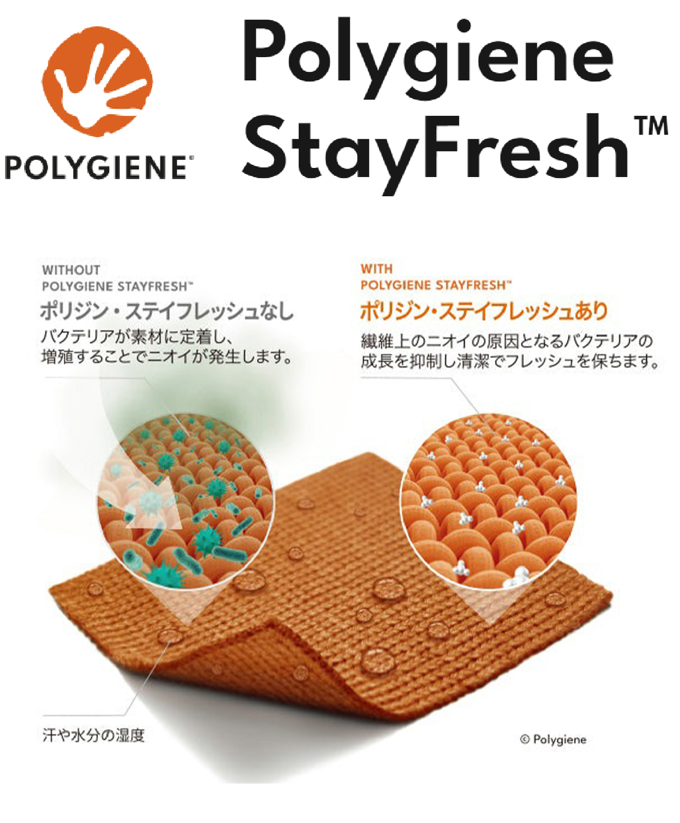 Polygiene StayFreshの説明図