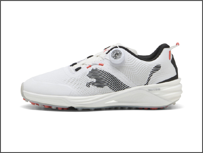 ホワイト×ブラック　シューズ画像